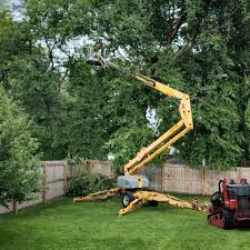 Best Aeration Services  in Leola, PA