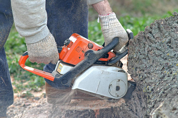 Best Tree Mulching  in Leola, PA